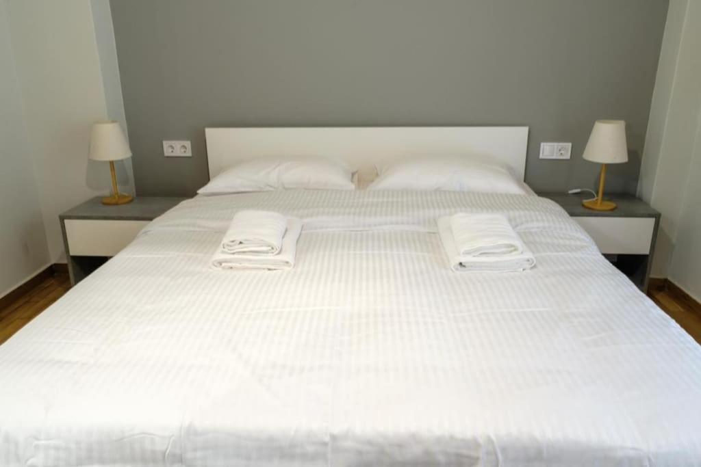 Modern Pangrati Flat! Apartment Athens Luaran gambar